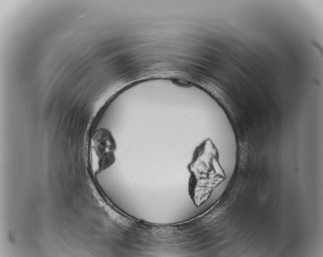 X0000100221046200806201503