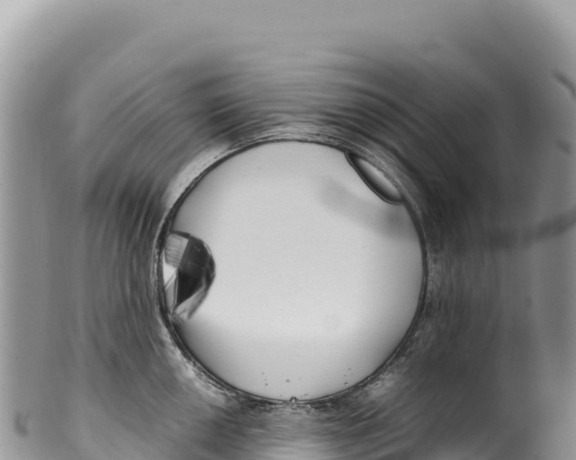 X0000100221050200806201503