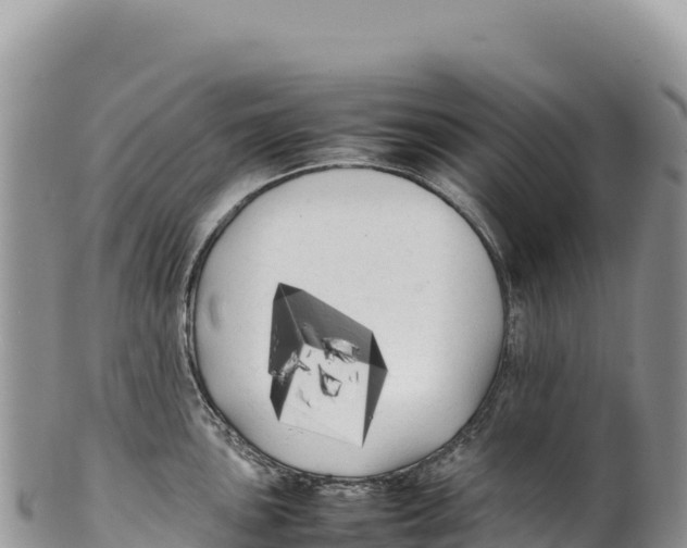 X0000100221051200806201503