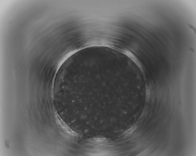 X0000100221052200806201503