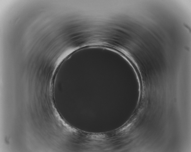 X0000100221053200806201503