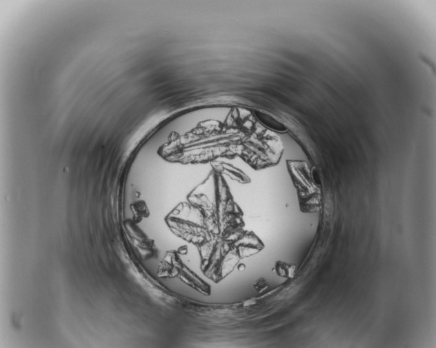 X0000100221054200806201503