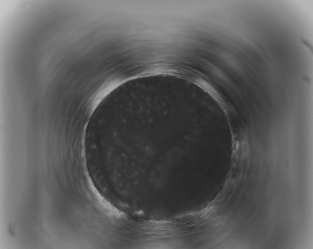 X0000100221055200806201503