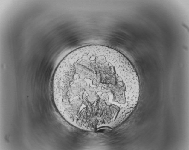 X0000100221056200806201503