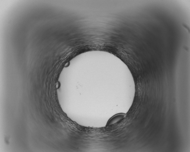 X0000100221057200806201502