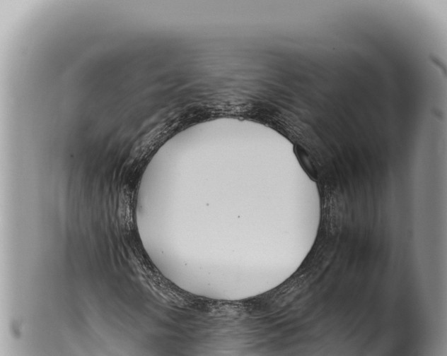 X0000100221058200806201502