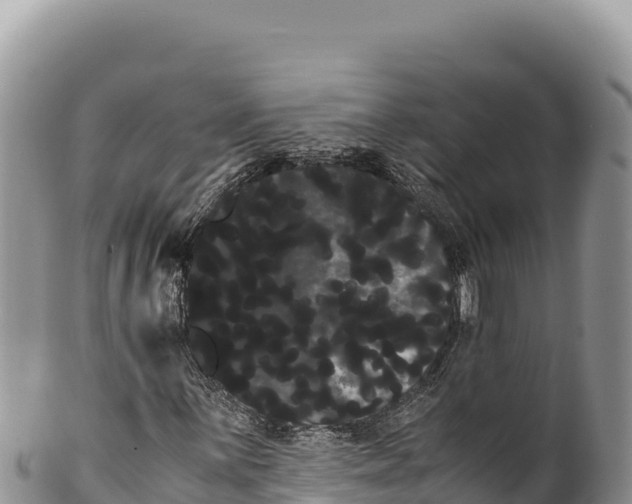 X0000100221059200806201502