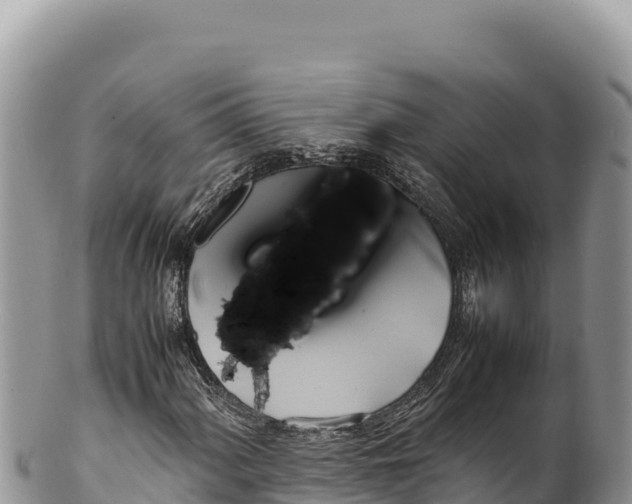 X0000100221060200806201502