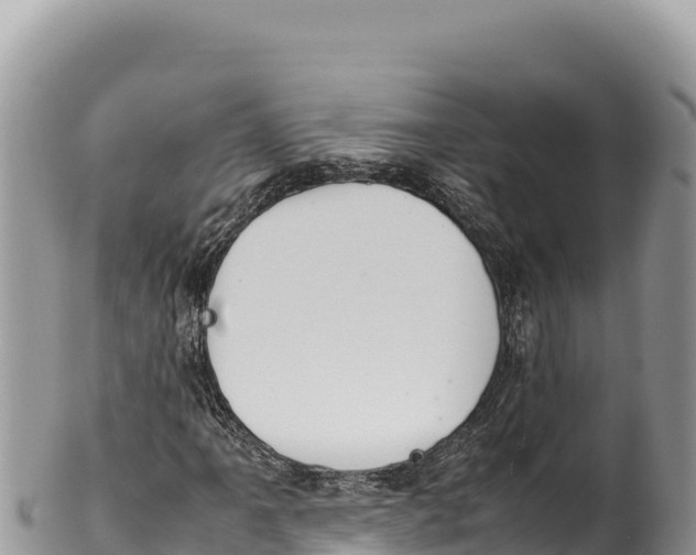 X0000100221061200806201502