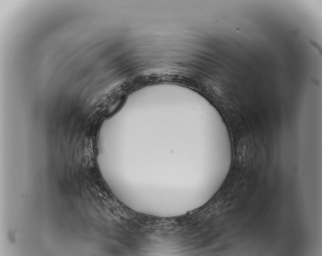 X0000100221062200806201502