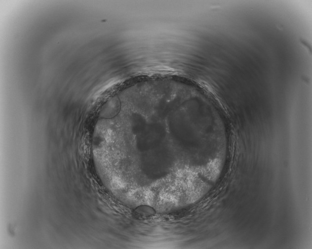 X0000100221063200806201502