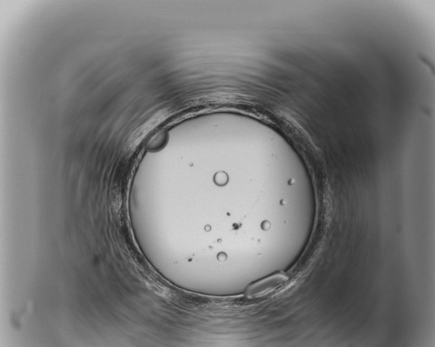 X0000100221065200806201502