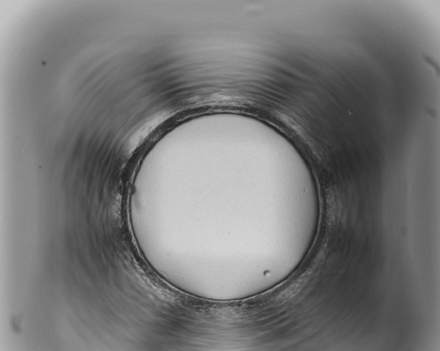 X0000100221066200806201502