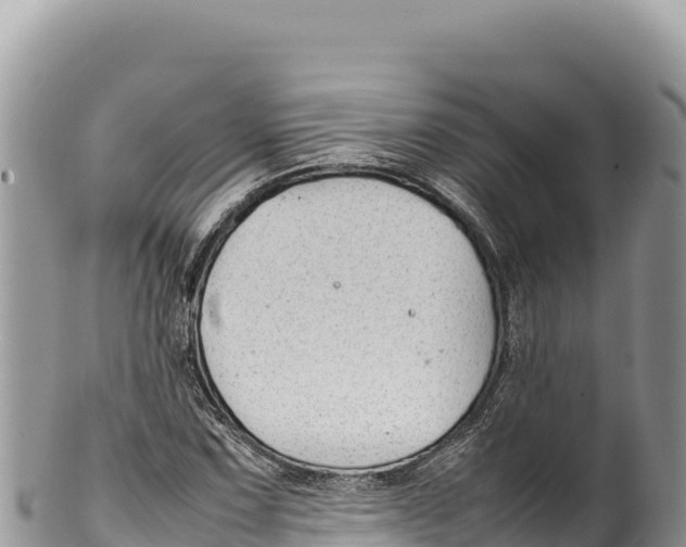 X0000100221067200806201502