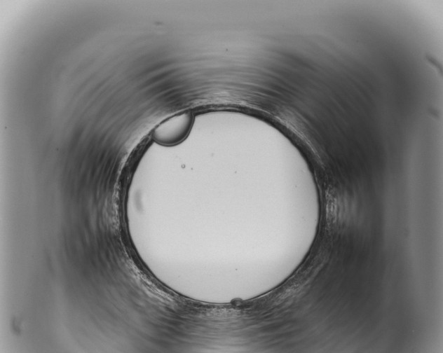 X0000100221068200806201502