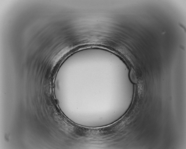 X0000100221069200806201502