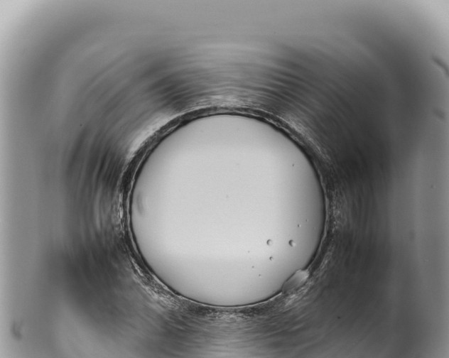 X0000100221070200806201502