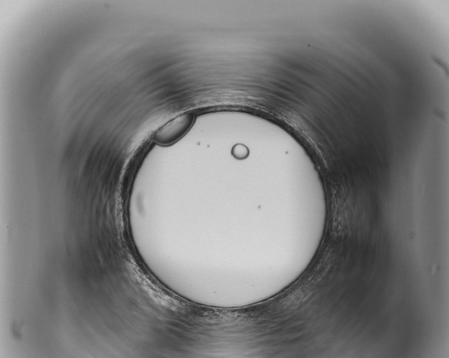 X0000100221072200806201502