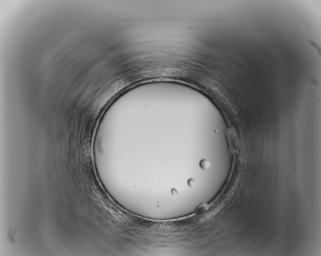 X0000100221073200806201502