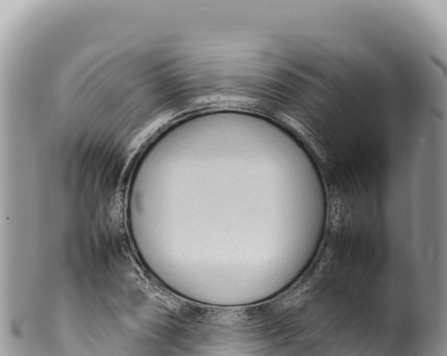 X0000100221074200806201502