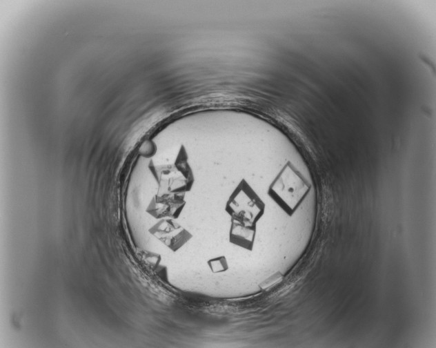 X0000100221075200806201502