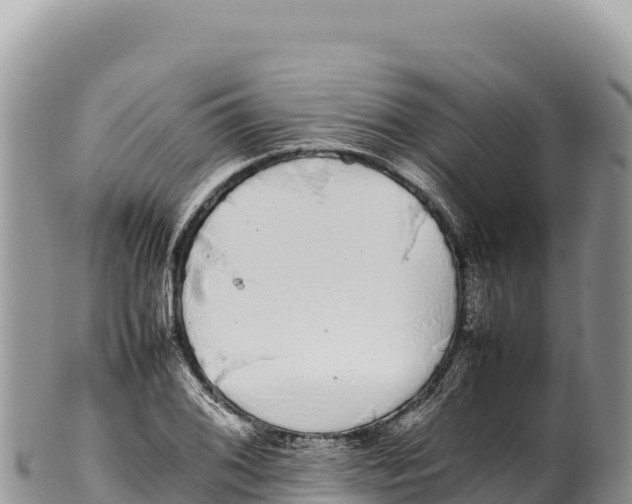 X0000100221076200806201502