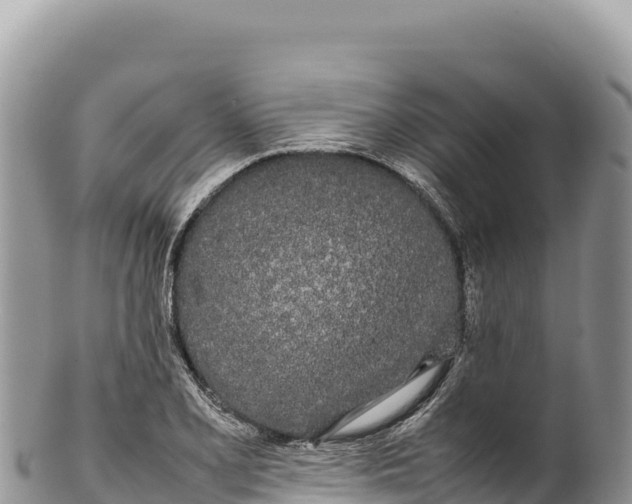 X0000100221077200806201502