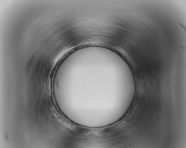 X0000100221078200806201502