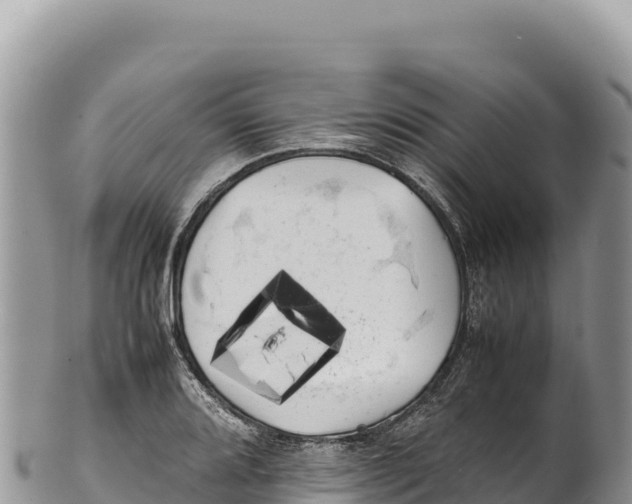 X0000100221080200806201502