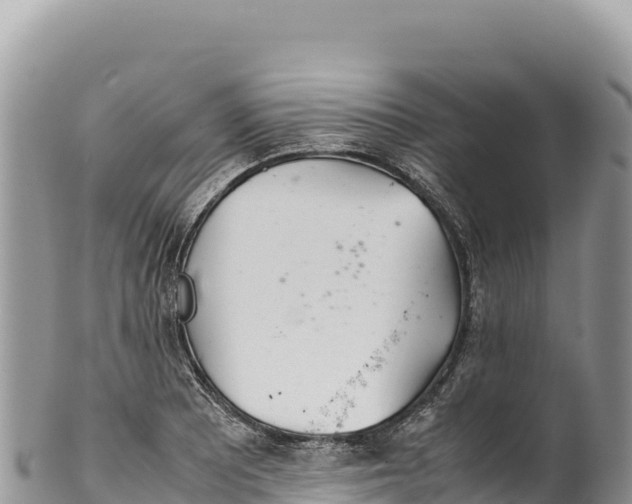 X0000100221081200806201502