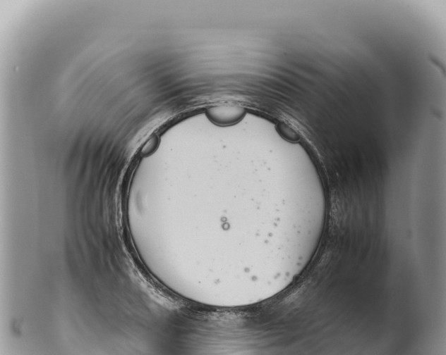 X0000100221082200806201502