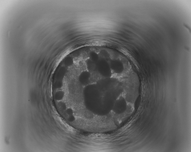 X0000100221083200806201502