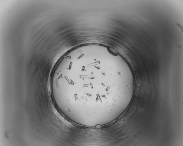 X0000100221084200806201502