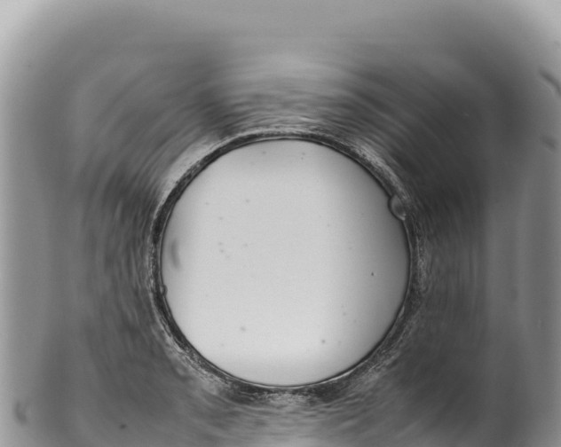 X0000100221085200806201502