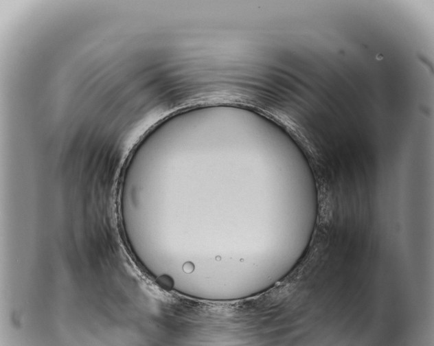 X0000100221086200806201502