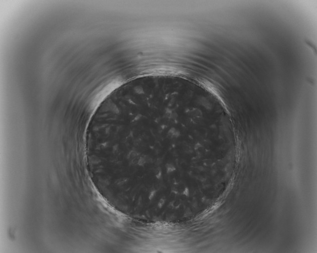 X0000100221087200806201502