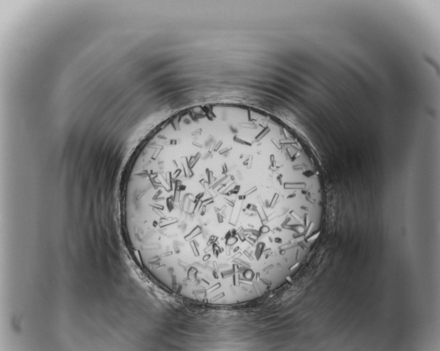 X0000100221088200806201502