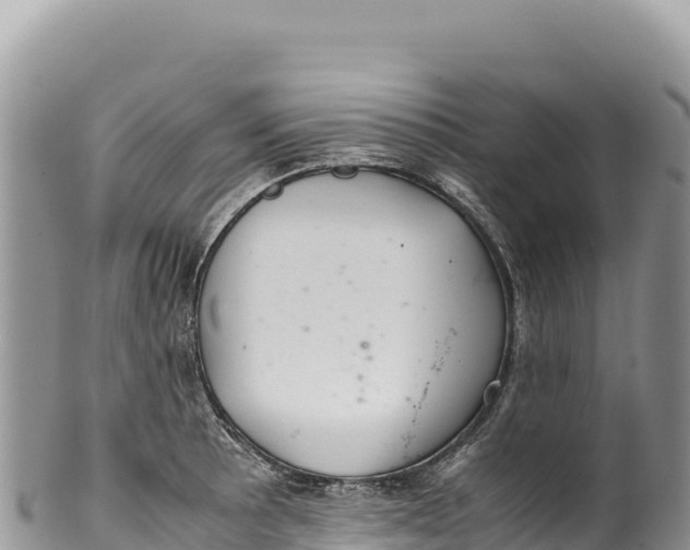 X0000100221089200806201502