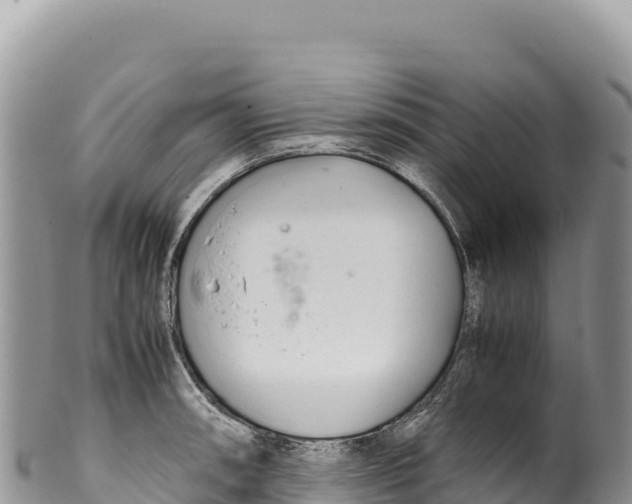 X0000100221090200806201502