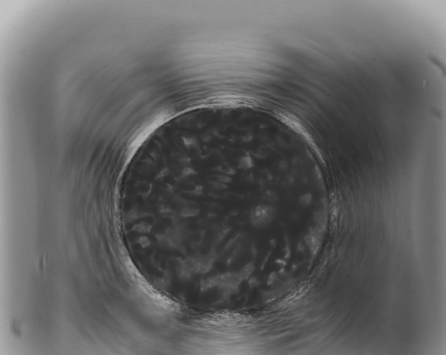 X0000100221091200806201502