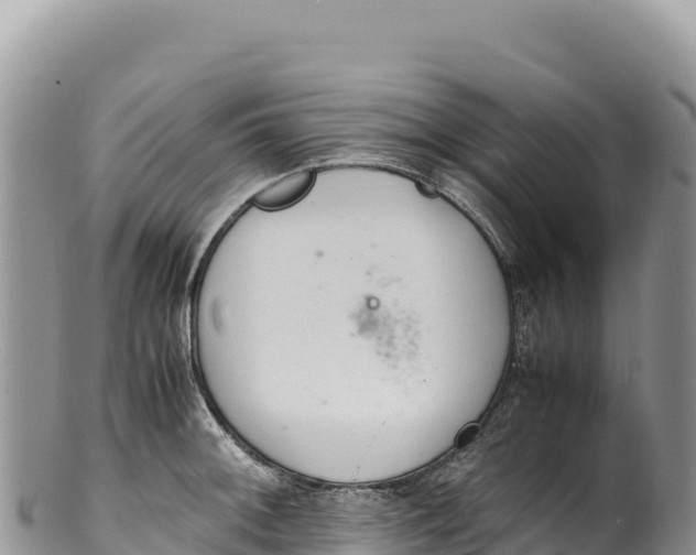 X0000100221092200806201502