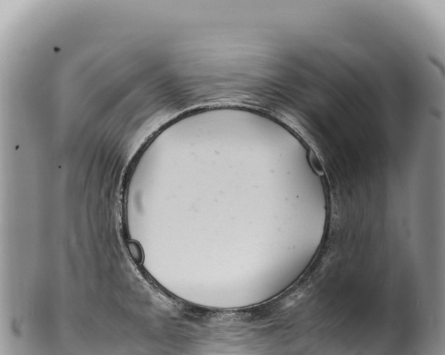 X0000100221093200806201502