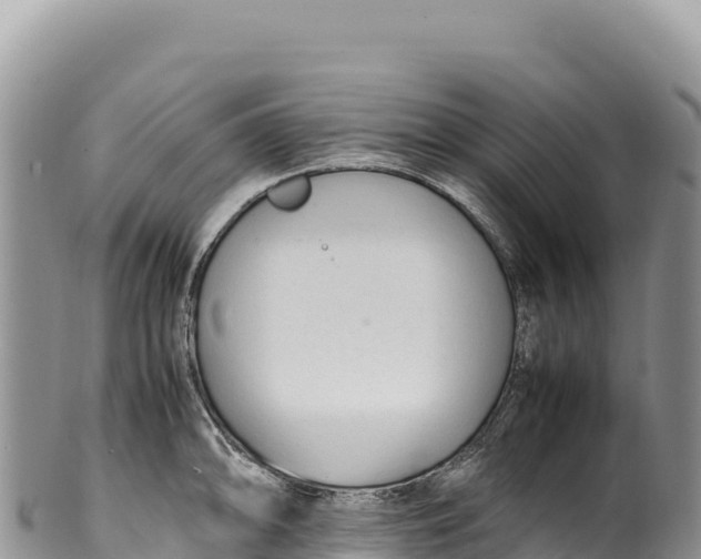 X0000100221094200806201502