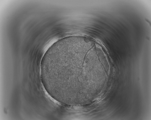 X0000100221095200806201502