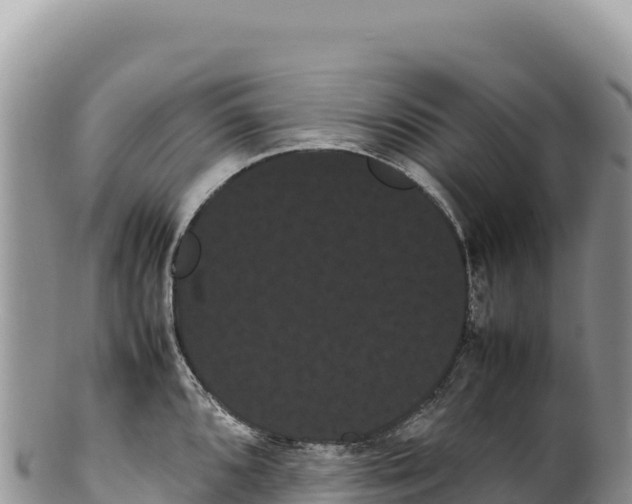 X0000100221096200806201502