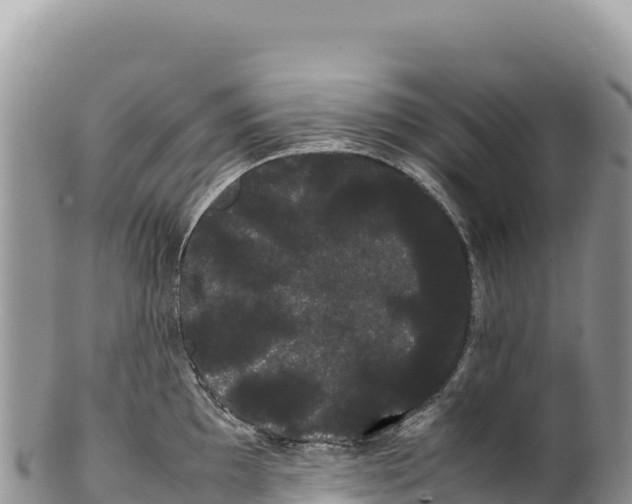 X0000100221097200806201502