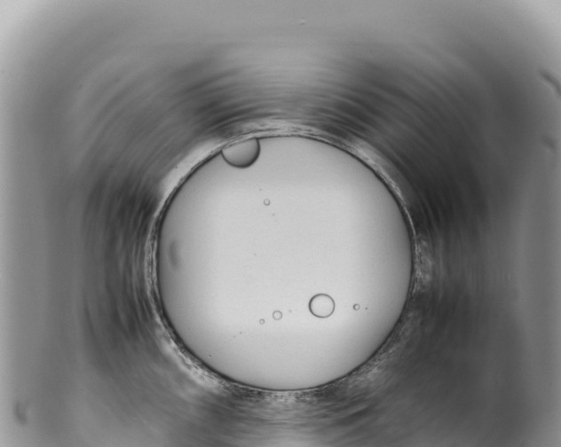 X0000100221098200806201502