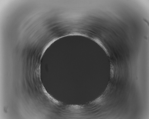 X0000100221100200806201502