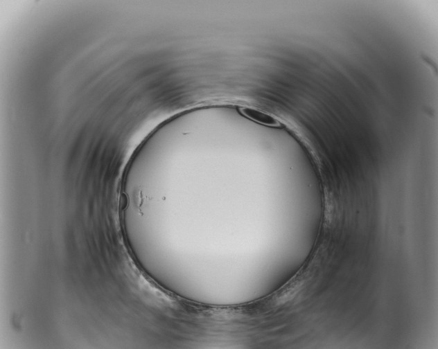 X0000100221102200806201502