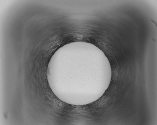 X0000100221105200806201501